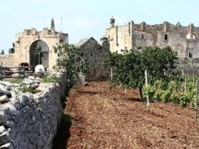 Masseria Musacco-Gonnelli