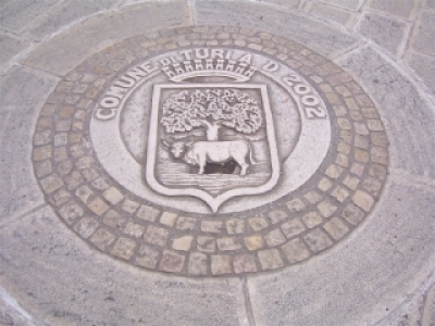 Stemma di Turi